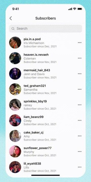 Lista de suscriptores en Instagram